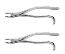 Forcep Extracting #18R Ea