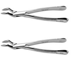 Forcep Extracting #32A Ea