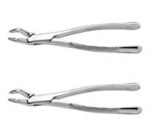 Forcep Extracting #53R Ea