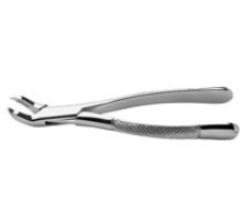 Forcep Extracting #3F Ea