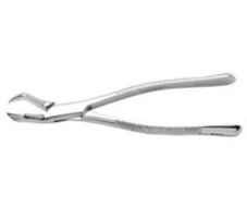 Forcep Extracting #88R Ea